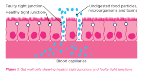 Leaky Junctions figure