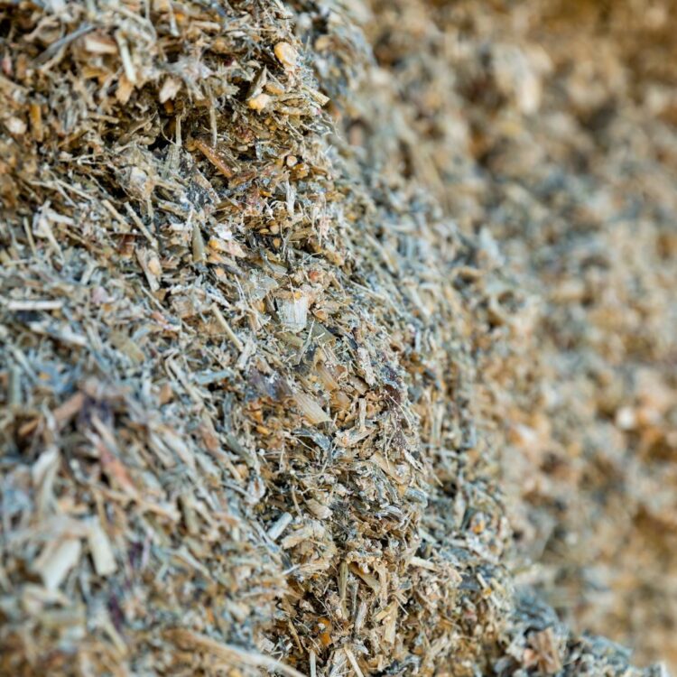 Helping assess feed quality to optimise animal performance and profitability