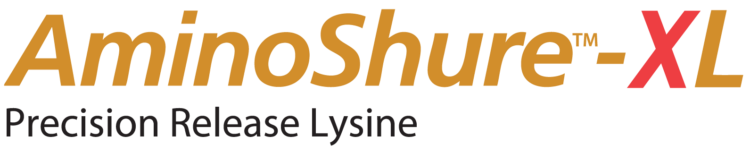 AminoShure™-XL