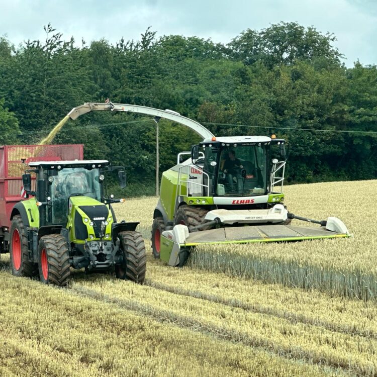 Plan Ahead for Winter – Protect Forage with Proven Solutions