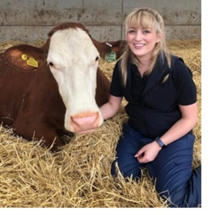 UK – Think first before cutting feed additives